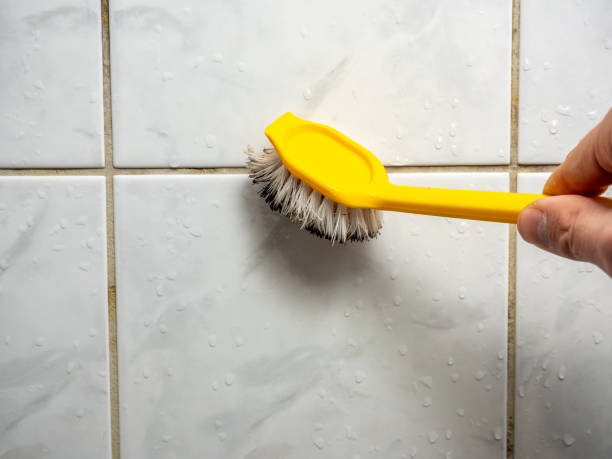 Best Office Mold Removal Services  in Watkinsville, GA