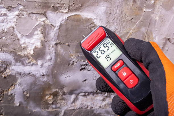 Best Commercial Mold Removal  in Watkinsville, GA