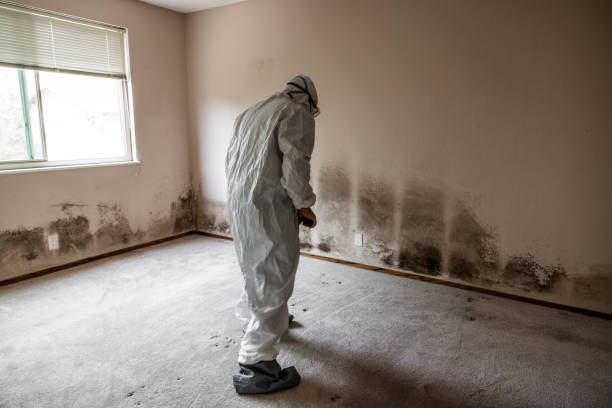 Best Residential Mold Removal  in Watkinsville, GA